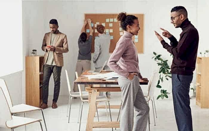 Uzman kadro desteği